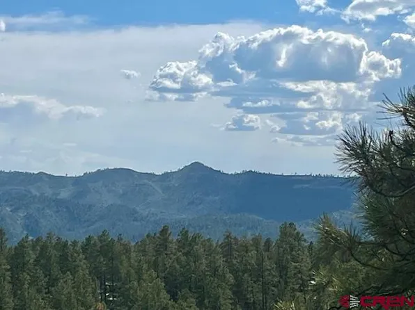 50 Shorties Court, Pagosa Springs, CO 81147