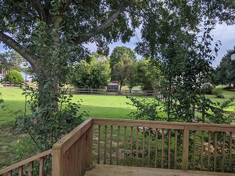 Back Porch & Back Yard