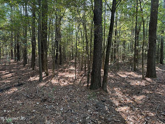 3rd image of Deerwood Xing Lot 76-B