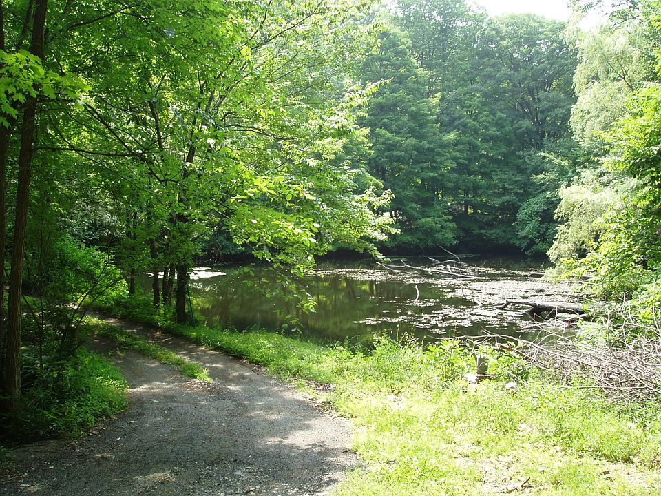 Pond as you enter