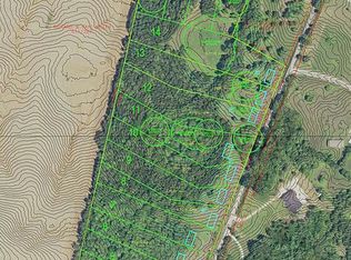 135 Charlie Pile Rd, Guston, KY 40142