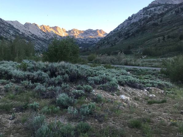 3224 Overland St, Ruby Valley, NV 89833