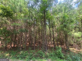 0 O'F Lanier Rd, Pembroke, GA 31321