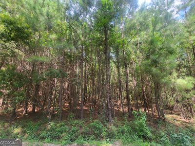 0 O'F Lanier Rd, Pembroke, GA, 31321
