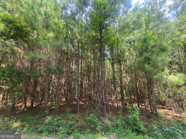 0 O'F Lanier Rd, Pembroke, GA 31321