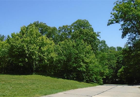 3rd image of 6521 Timber Lake Dr