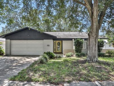1344 Homestead Dr, Palm Harbor, FL, 34683