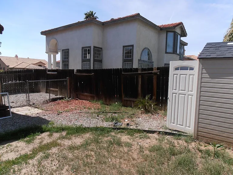 backyard 2