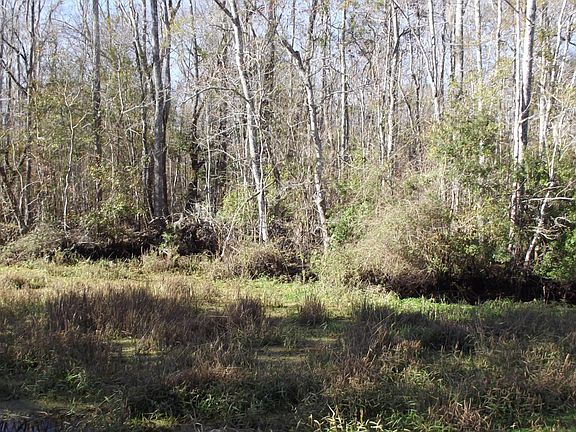 3rd image of 2136 Black Creek Trl