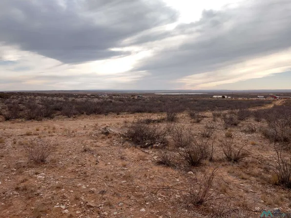 6 Illinois Camp Rd, Carlsbad, NM 88220