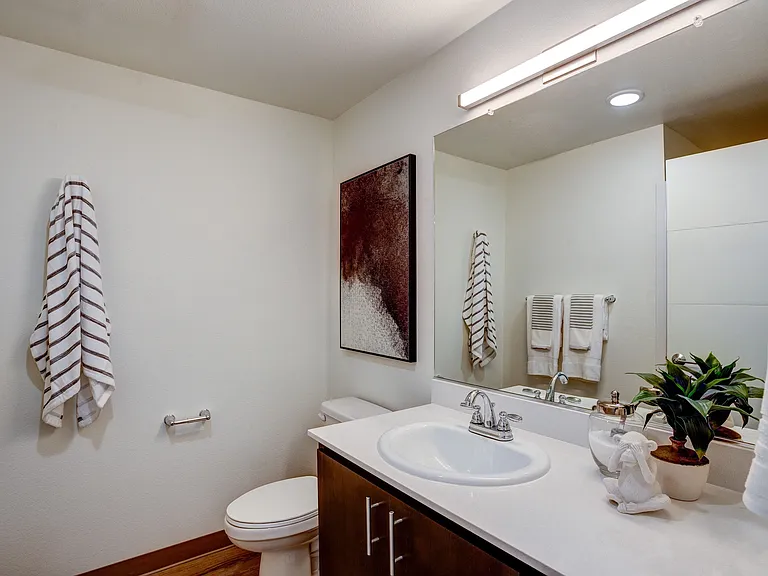 Commons at Sylvan Canyon Apartments — Photo 19