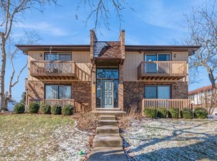 213 N Vine St UNIT 4, New Lenox, IL 60451