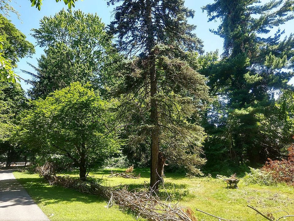 2nd image of 1328 Morris Rd