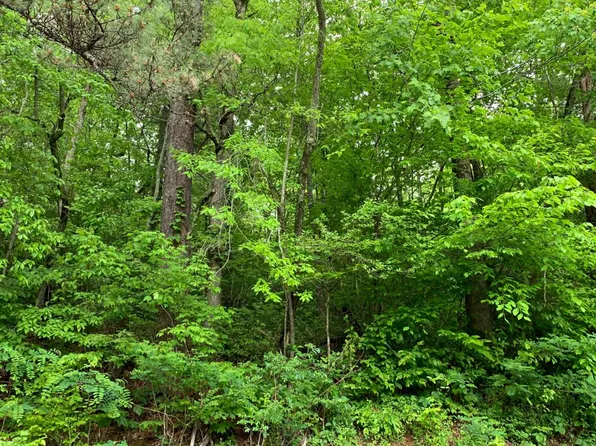 E Vineyard Rd, Hayesville, NC 28904