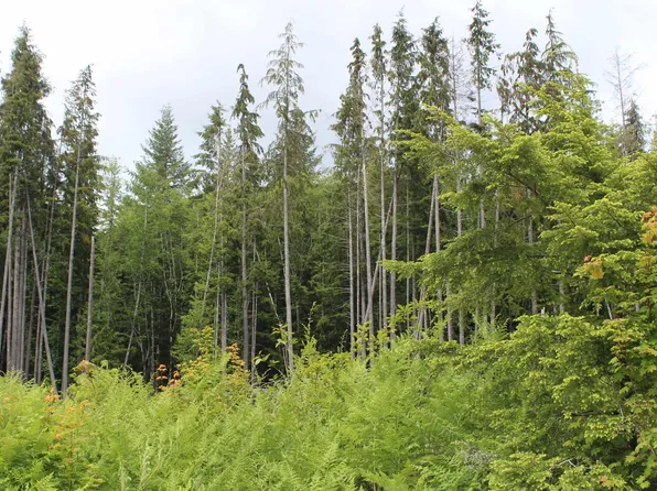 Nka Misty Creek Ln, Beaver, WA 98305