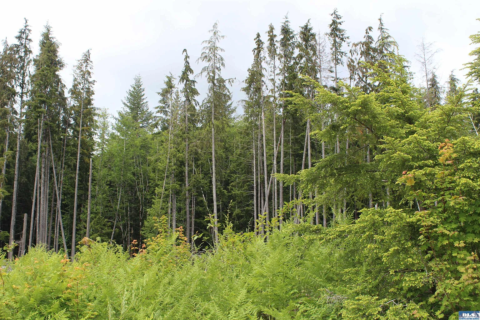 Nka Misty Creek Ln photo 1