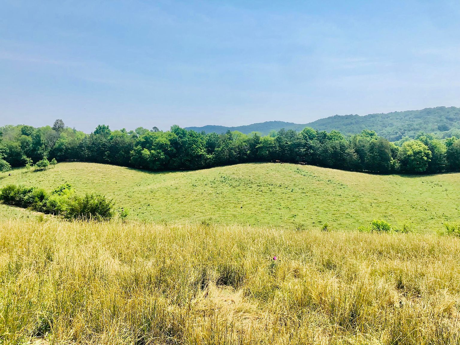 438 N Vfw Rd V, Bulls Gap, TN 37711 MLS 9953270 Zillow