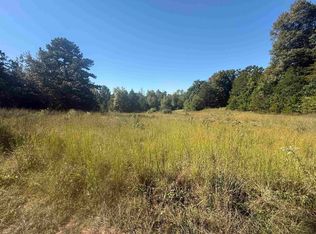 58 Gorby Rd, Calico Rock, AR 72519
