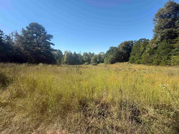 58 Gorby Rd, Calico Rock, AR 72519