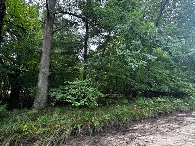 0 W Five Mile Rd, Irons, MI, 49644