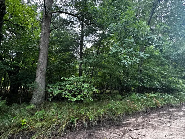 0 W Five Mile Rd, Irons, MI 49644