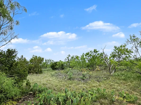 377 Axis Ln, Robert Lee, TX 76945
