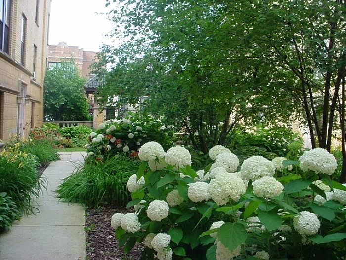 Landscaped Courtyard