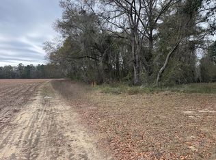 0 S State Highway 605, Slocomb, AL 36375