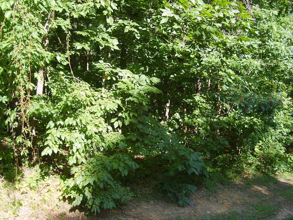 1st image of 122 Dartmoor Dr