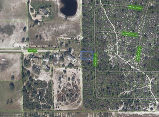 541 Carousel Ln, Lake Placid, FL 33852