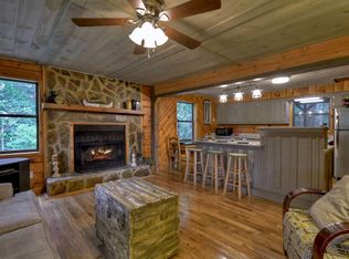 390 Moss Ln, Blue Ridge, GA 30513