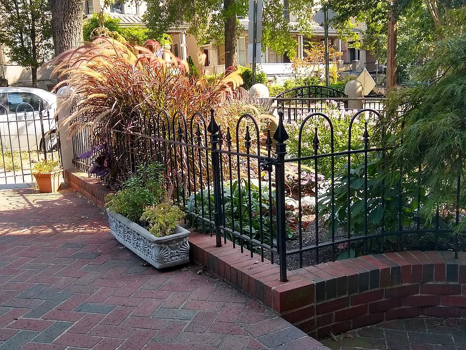 Professionally designed garden outside apartment. Sunny window overlooks lovely Japanese maple.