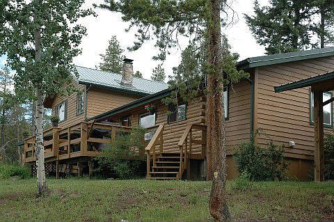 Classic Conifer Charm