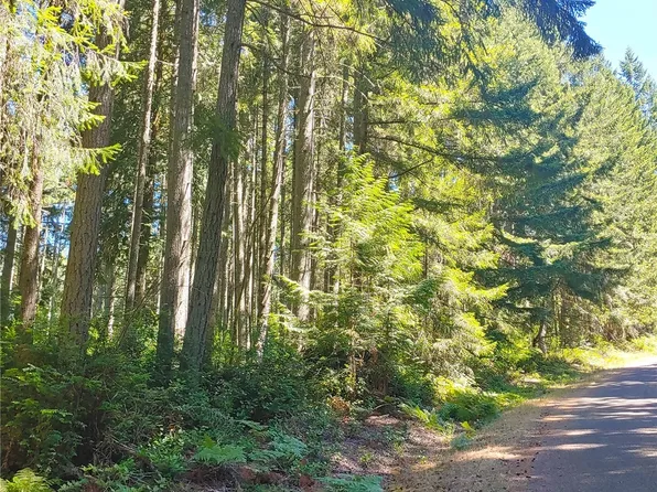 11004 & 11012 Spruce Drive, Anderson Island, WA 98303