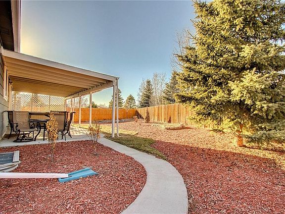 Large Low Maintenance Yard!