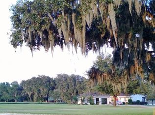 11134 Wirt Rd, San Antonio, FL 33576