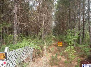 2132 Wine Ct, Dillon, SC 29536