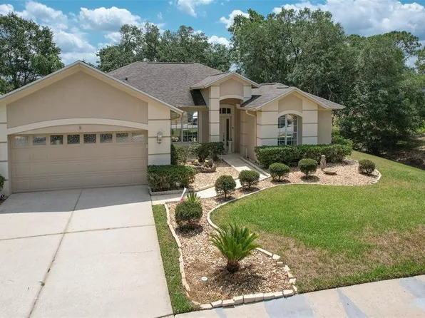 3350 Stonebridge Trl, Valrico, FL 33596