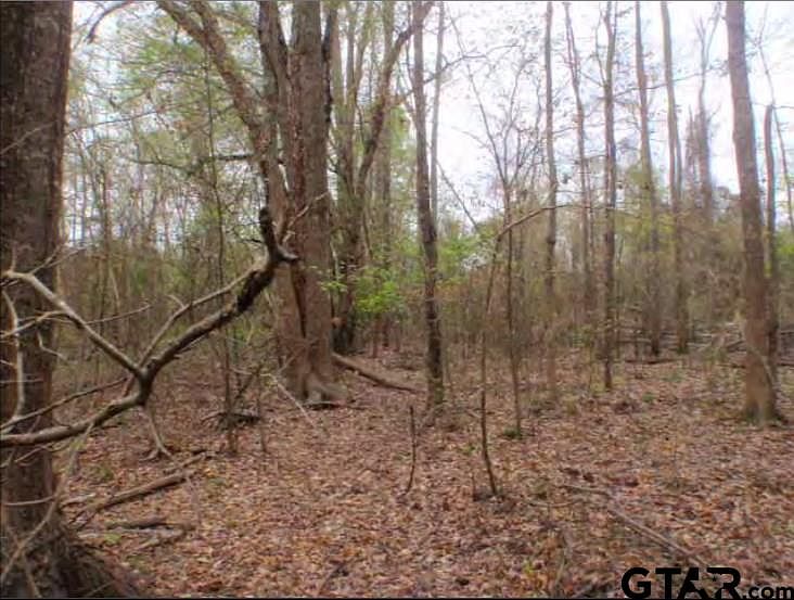 2nd image of 294 County Road 4918