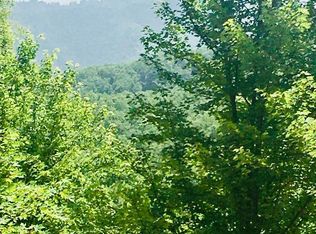 Baby Bear Trl, Gatlinburg, TN 37738