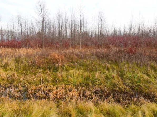 5227 LOWER LAKEVIEW RIDGE ROAD, Belgium, WI 53004