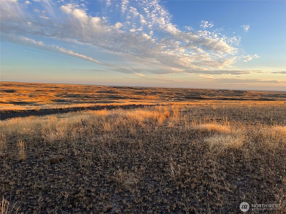 2nd image of 45 Eagle Springs Ranch