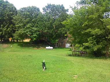 4 bed, 3052 sqft, $1,600 — Photo 4