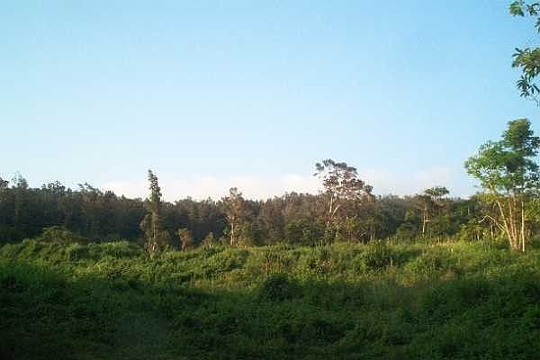 6 acres with Ocean View