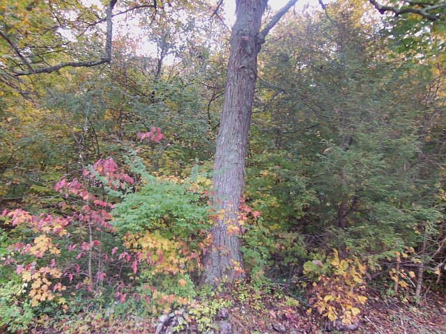 2nd image of E River Mtn