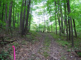 9405 28th St SE, Ada, MI 49301