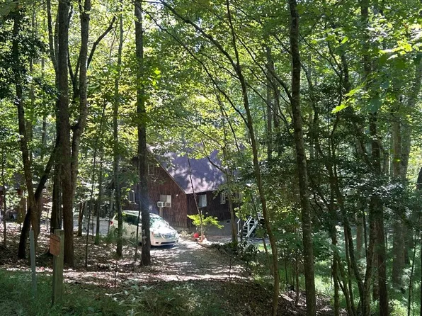 433 Possum Holler Trl, Brasstown, NC 28902