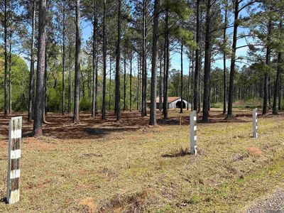 TRACT Monroe Stevens Rd #C, Kentwood, LA, 70444