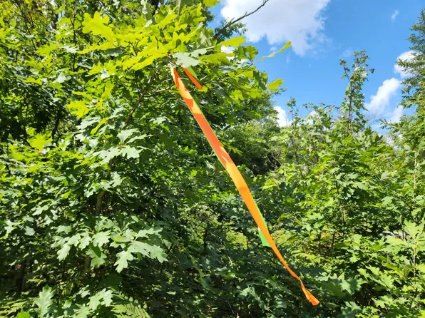 Vl 4.5 Acr Wilderness Trl, Luther, MI 49656