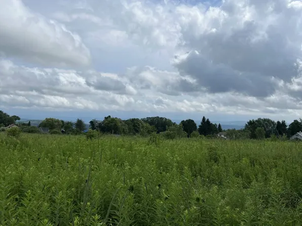 0 Brown Rd, Schuyler, NY 13502